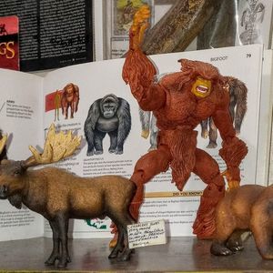 Meet your Posher, Benny